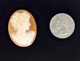 35x27mm Italian Real Shell Cameo unmounted loose Genuine Hand Carved Cameo C309