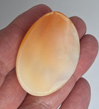 49x36mm Italian Real Shell Cameo Three Graces  unmounted loose Genuine Hand Carved Cameo C313