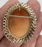 Vintage Van Dell Hand carved Italian Shell Cameo Brooch Pendant gold filled carnelian pendant necklace combo stamped 12k F202